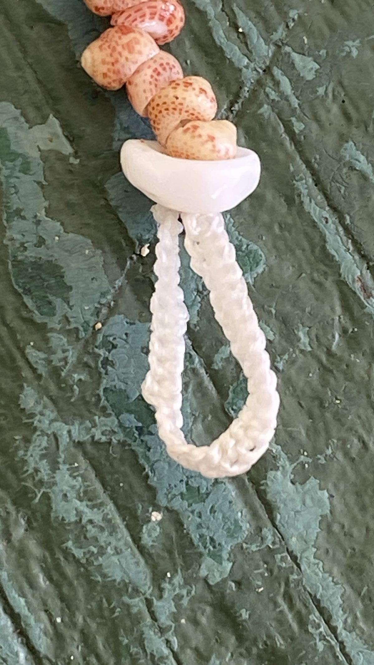 Bank of Sally Shore — Shell Lore & Coastal Artifacts
