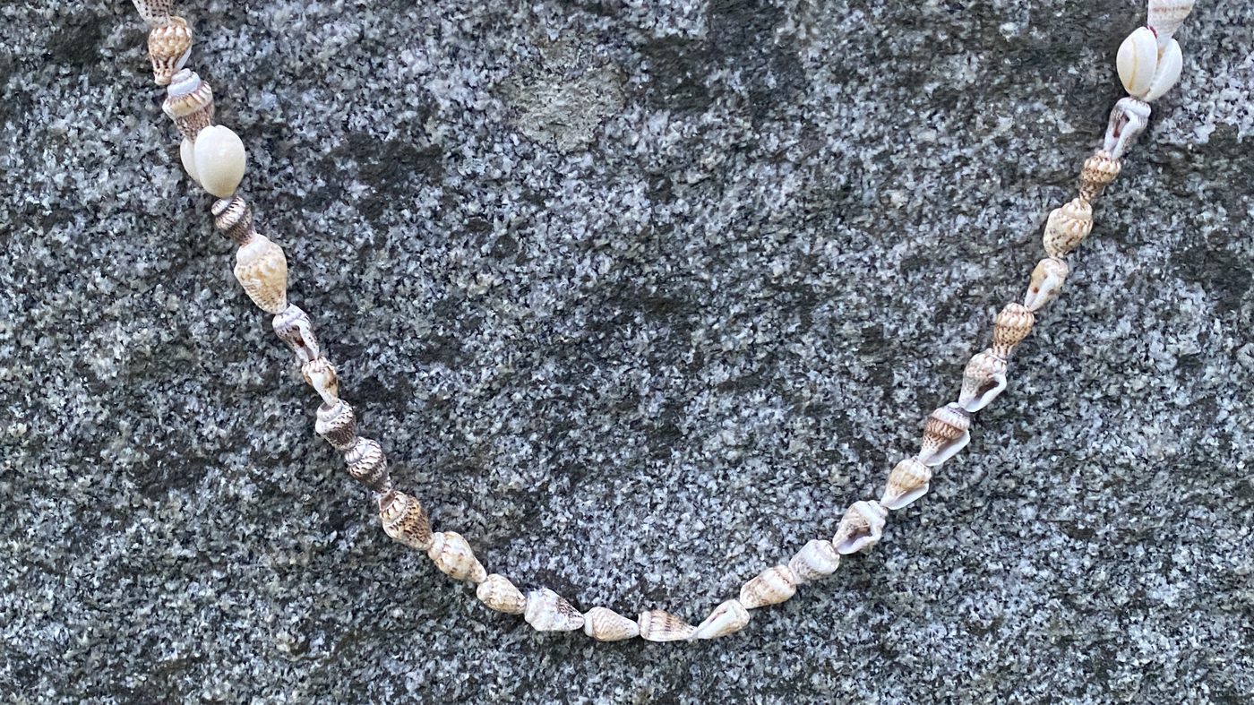 Nassarius & Cowrie Strand