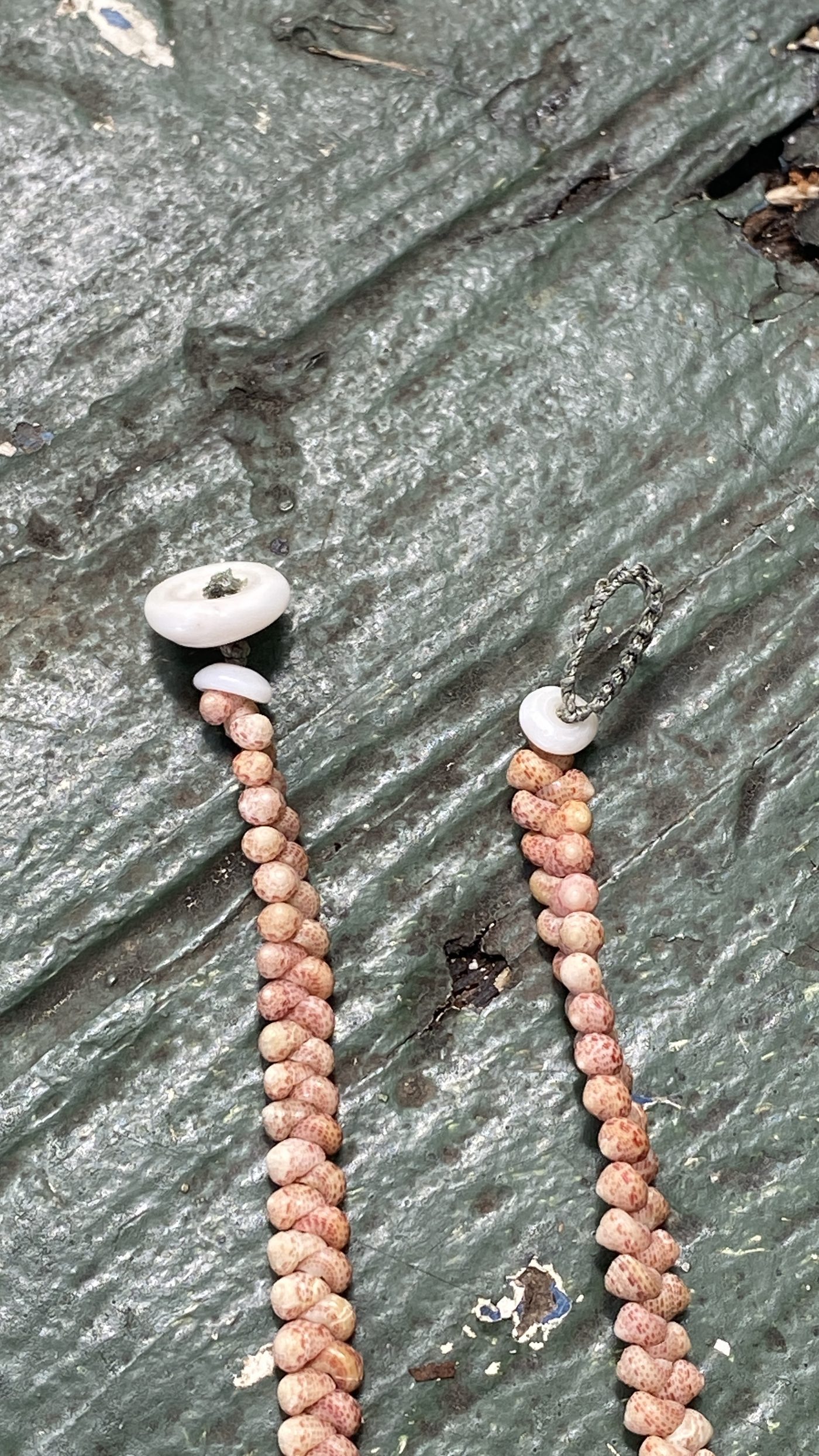 Vault Plate 002 — Clasp Studies