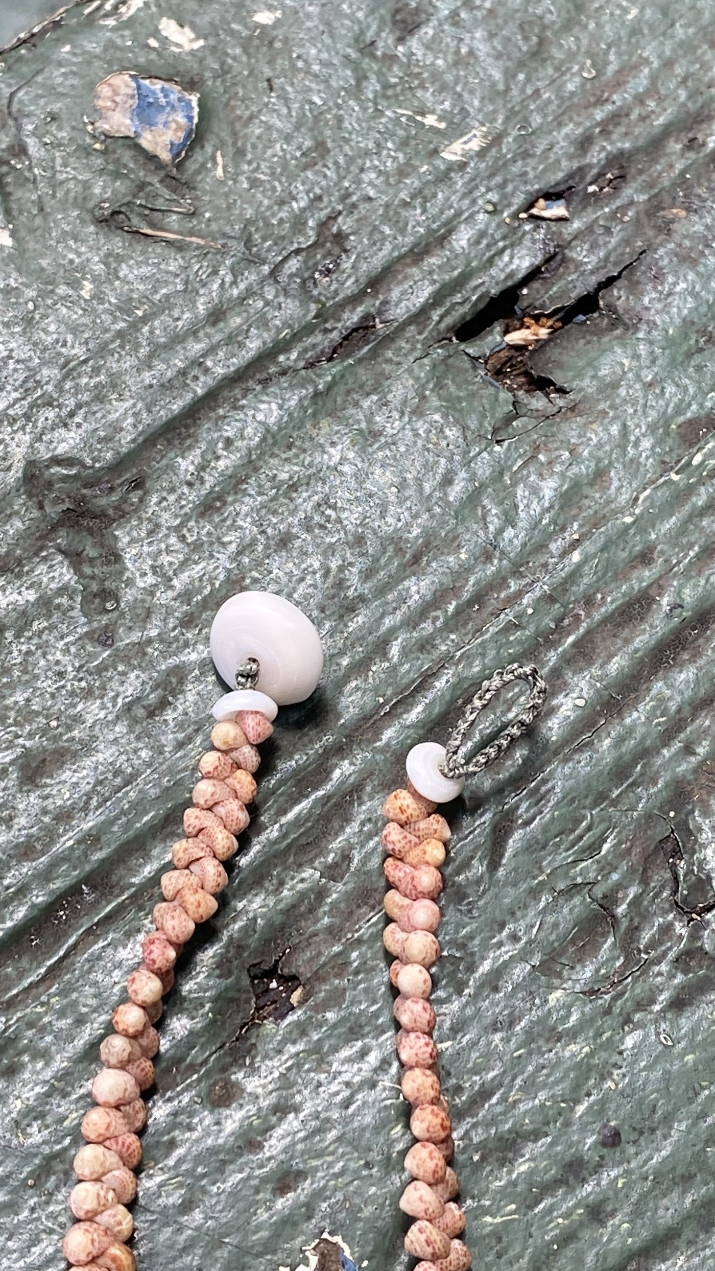Vault Plate 002 — Clasp Studies